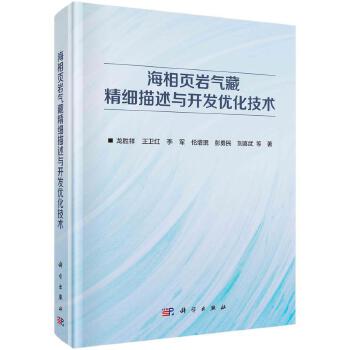 海相页岩气藏精细描述与开发优化技术 科学出版社